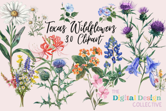 Evaluating Texas Native Wildflowers Watercolor PNGs for Creative Projects