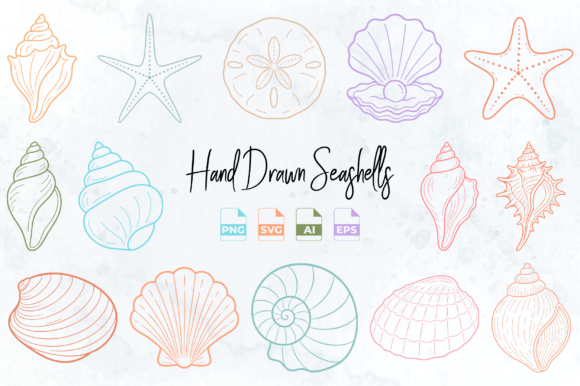 Hand Drawn Seashell Clipart PNG SVG: Elevate Your Coastal Designs